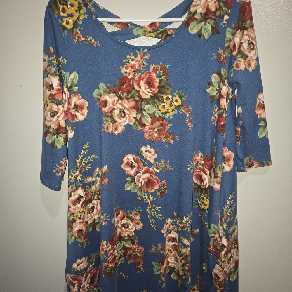 Floral Long Sleeve Dress in Blue and Pink